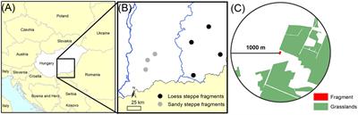 Connectivity and fragment size drive plant dispersal and persistence traits in forest steppe fragments